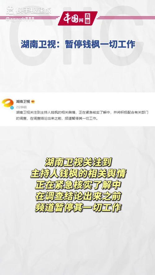 关于娱乐圈吃瓜的评价